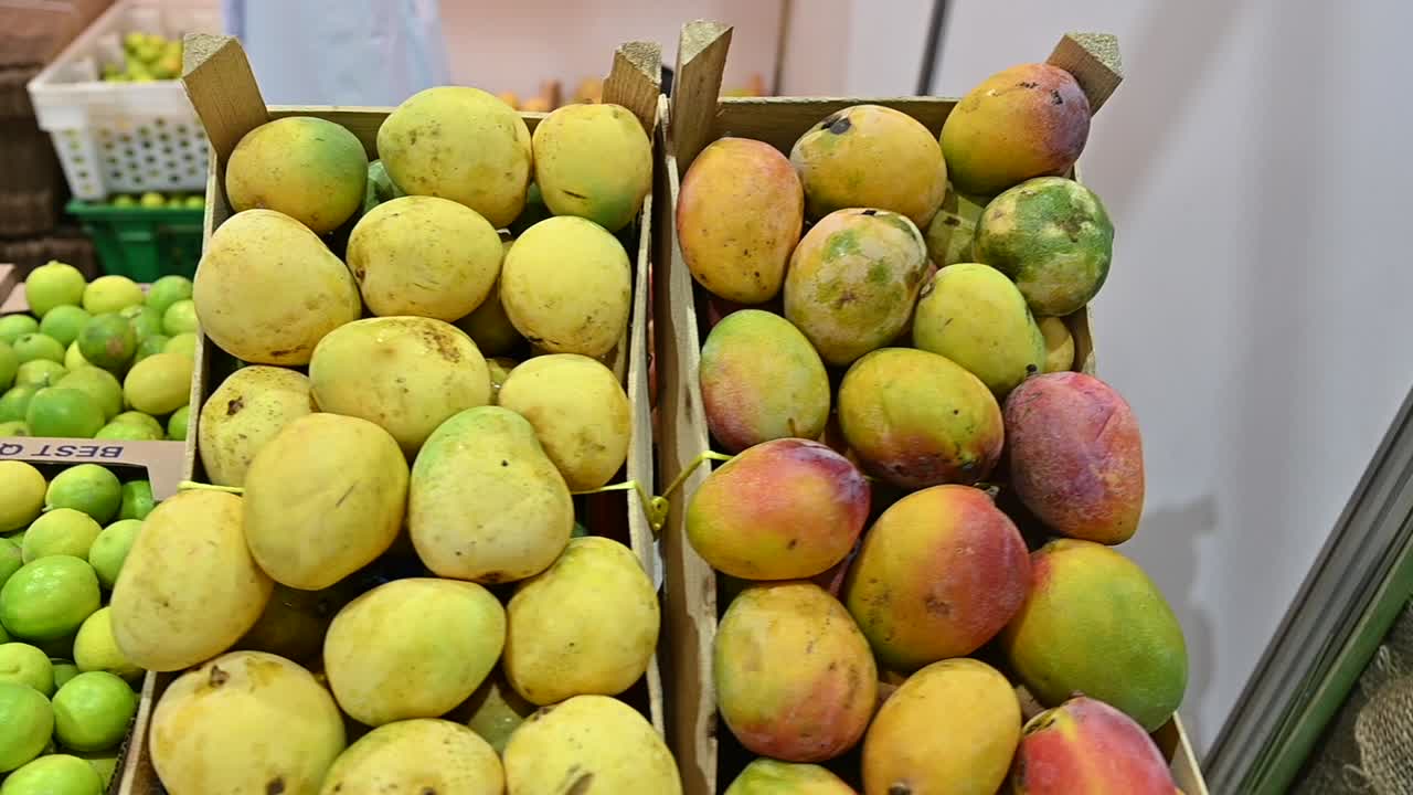 variedades de mangos frescos emiratíes se exhiben durante el festival de comida en los emiratos árabes unidos