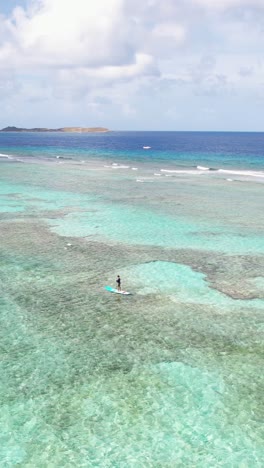 vertical drone shot, paddleboarder floating above coral reefs of british virgin islands