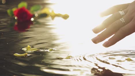 Female hand sliding on the water surface with rose petals. Slow motion.