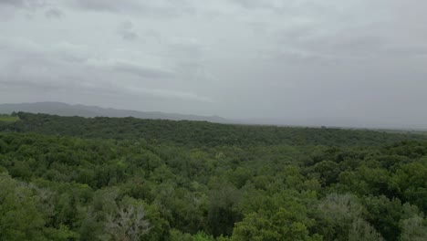 Cloudy-sky-over-olive-grove,-Tuscany-Italy