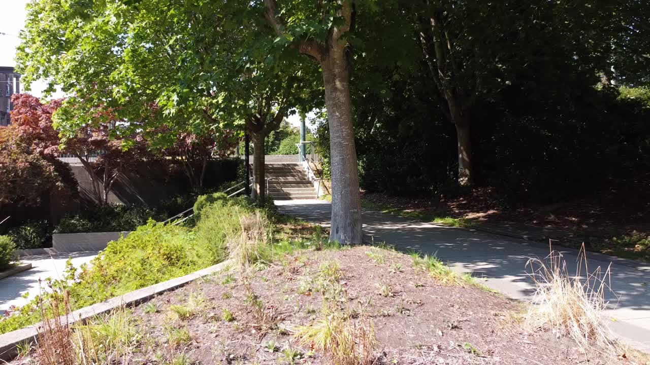1-2 salen de un sendero del bosque hasta una mística, moderna y tranquila fuente de concreto que no está administrada por el parque de la ciudad durante el día y la noche. las reuniones rituales ocurren con druidas, brujas, seres mágicos cultos.