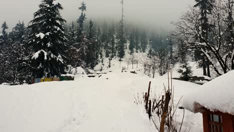 snow landscape in kashmir, kashmir looks beautiful during white fresh snow