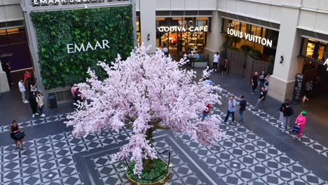 shopping mall with cherry blossom tree