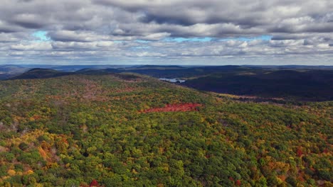 an aerial view of the colorful treetops in putnam county, ny as they begin to change for autumn