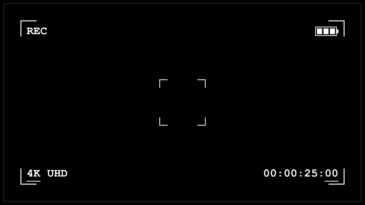 Digital Camera Recording Interface Overlay with Timecode