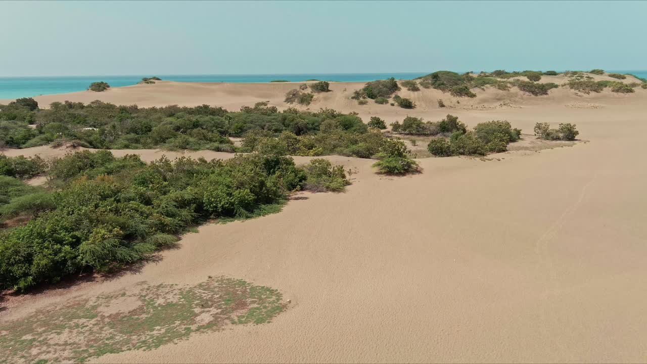 vista aérea con vistas a los detalles de las plantas y la arena en las dunas de bani en república dominicana - descenso, disparo de drones
