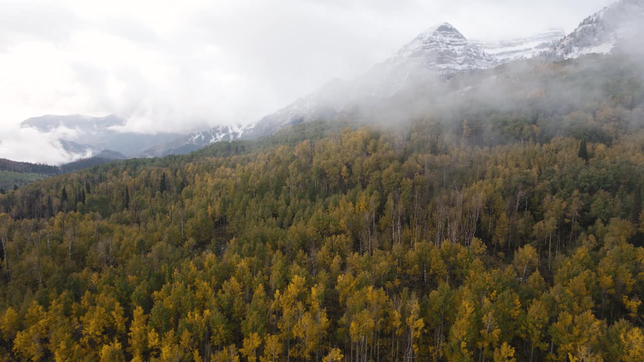 Colori autunnali sull'Alpine Loop nell'American Fork Canyon, Utah, USA