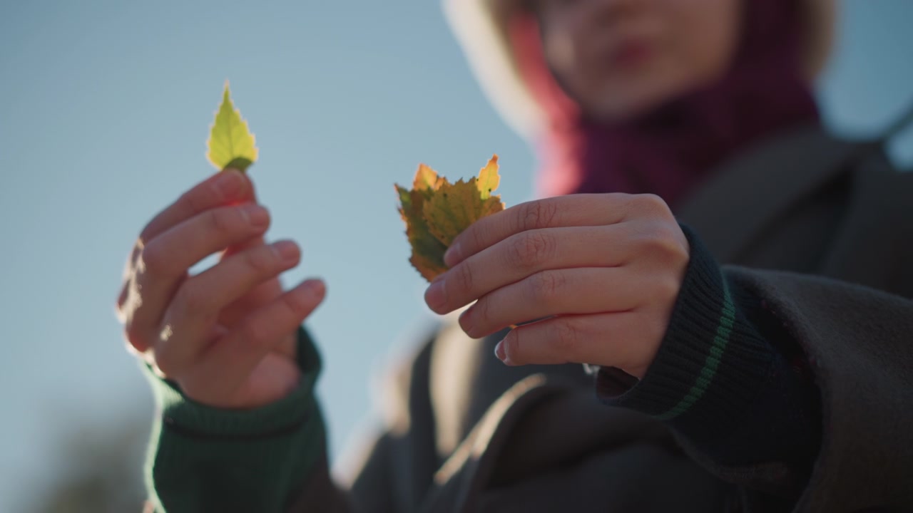 屋外で紅葉を手に持ち観察する人物