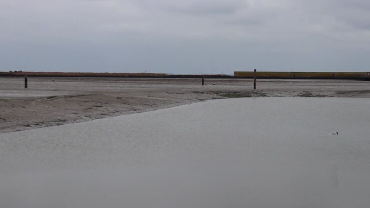 Birds flying in the harbor with low water in Langeoog, Germany