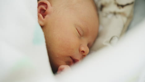 newborn baby close-up moments