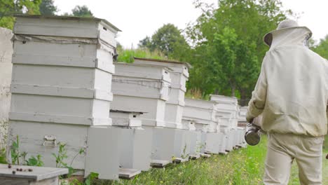 Beekeeping.