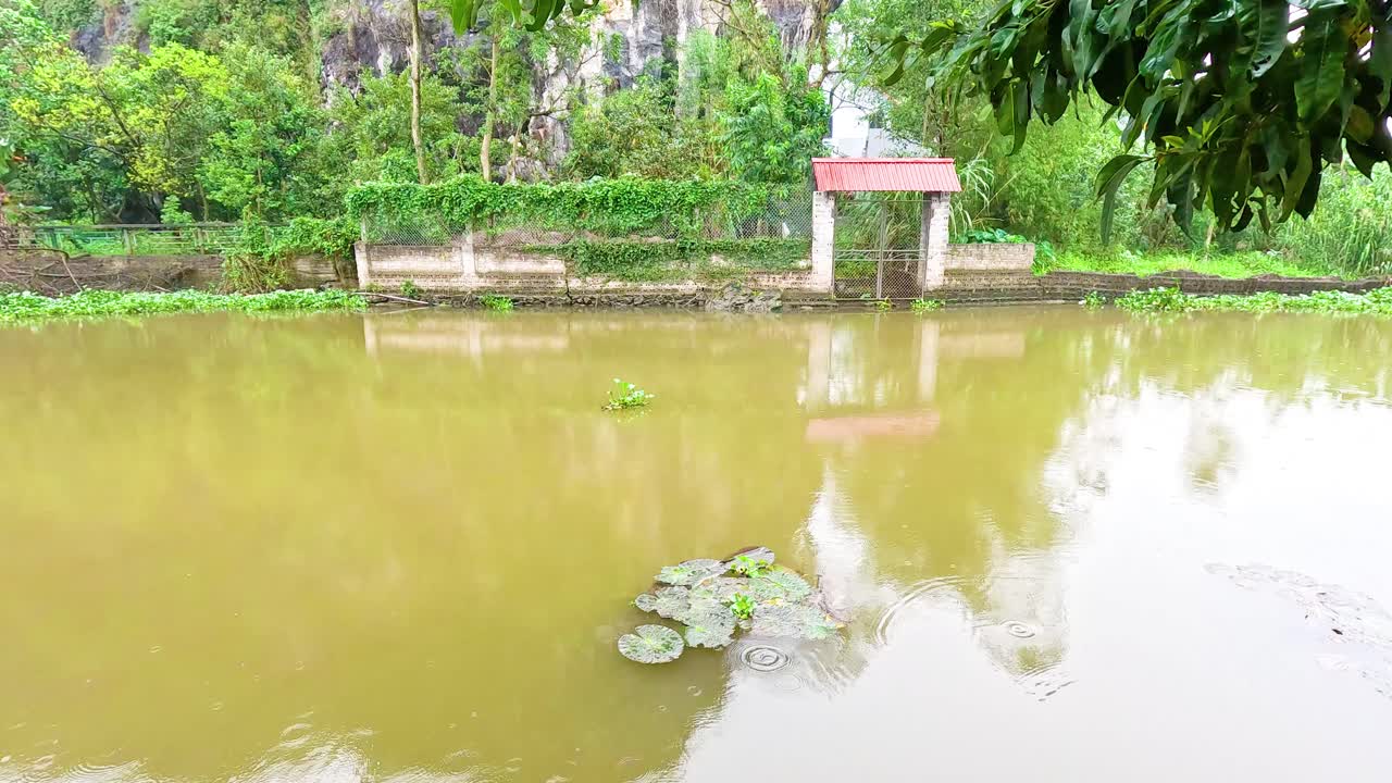 río tranquilo con exuberante vegetación y reflejos