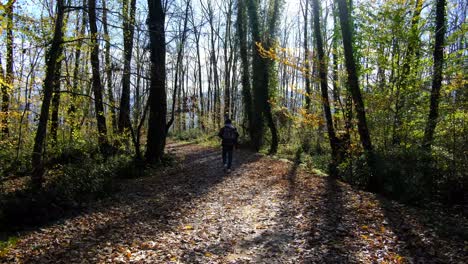 camper man walking forest