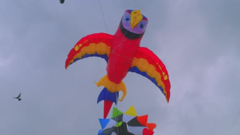 slow motion of large parrot kite flying in