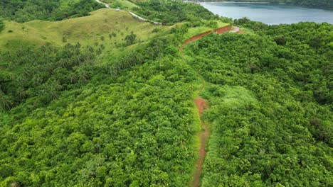 el sendero de acceso a la tierra corta a través de un paisaje tropical verde con palmeras con vistas al océano