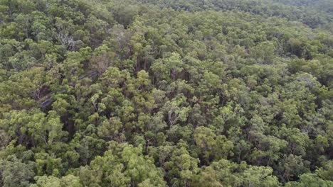 Drone-Descending-into-bushland-showing-Tv-Broadcasting-towers-and-a-large-city-in-the-background