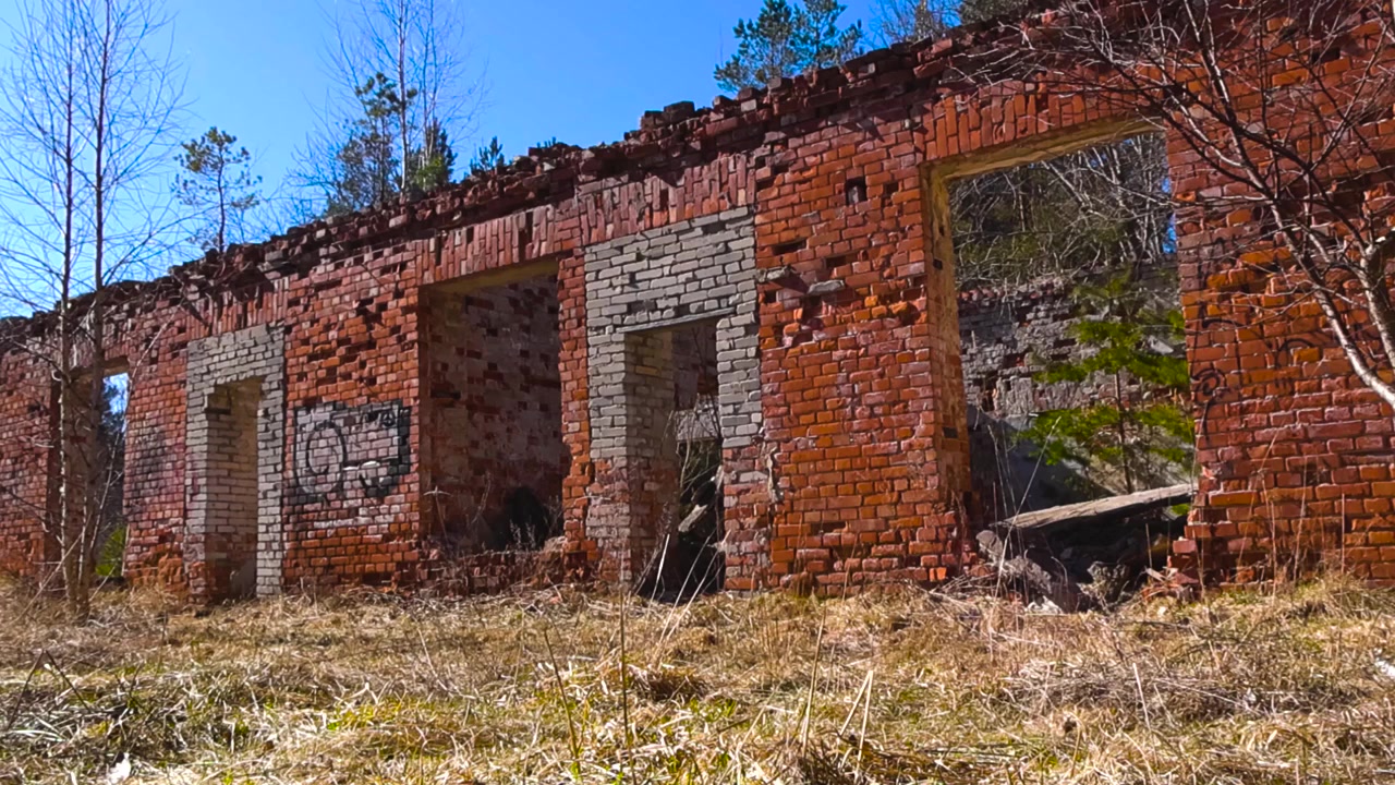 Edificio in rovina di mattoni rossi con aperture di finestre vuote che si erge in una pineta soleggiata, mostrando un'atmosfera desolata e apocalittica del dopoguerra con muri fatiscenti e detriti.