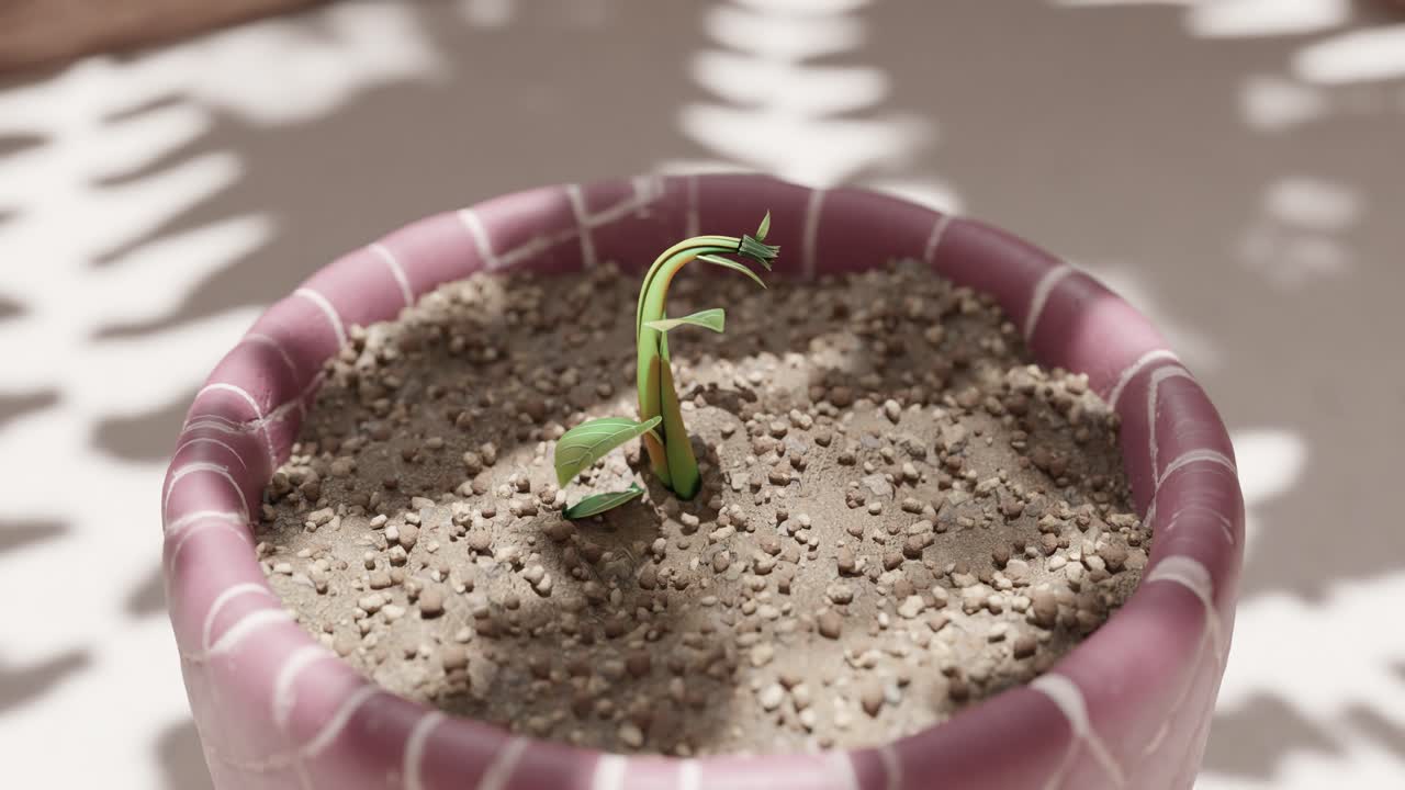 flor púrpura en una olla decorativa