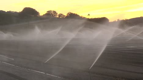 sprinklers water a dry field in california during a drought 2