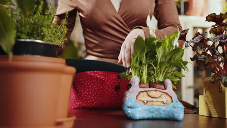 mujer repotando plantas