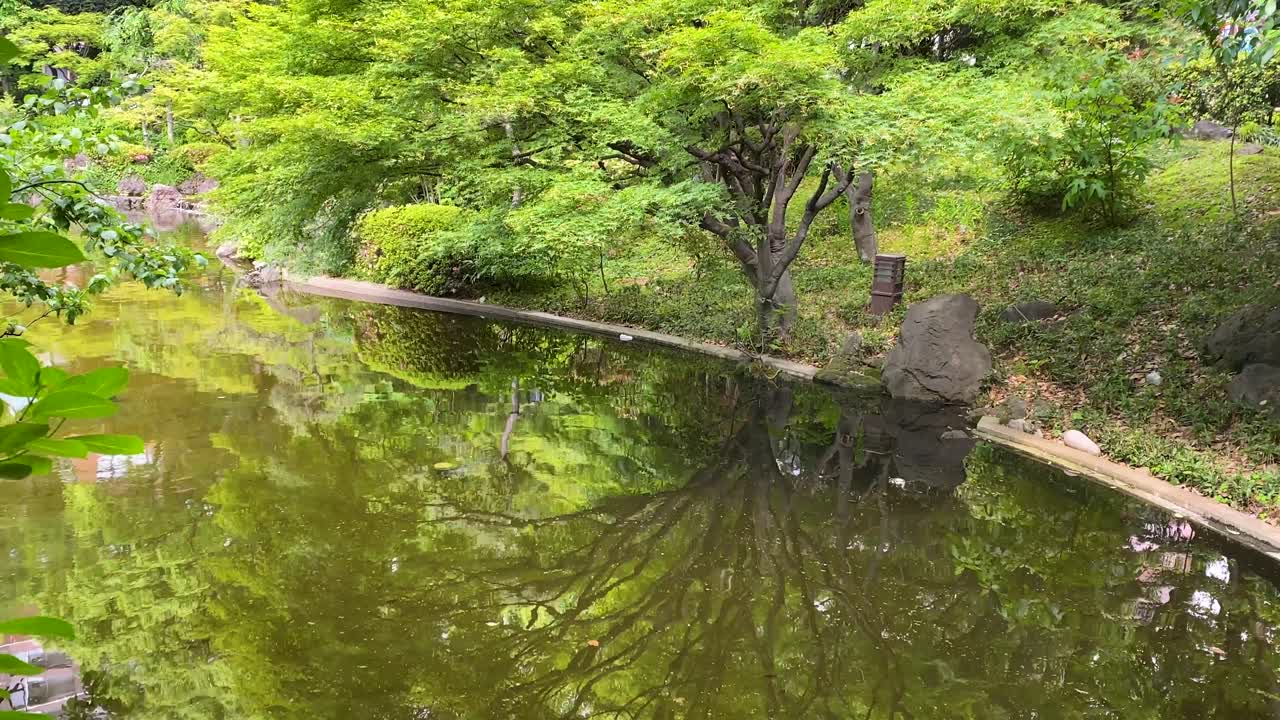 도쿄 최고의 전망