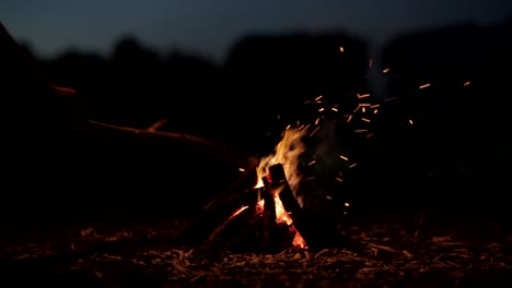 close up shot of beautiful bonfire burning outdoors in nature during night