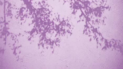 tree branches shadow on textured pink wall