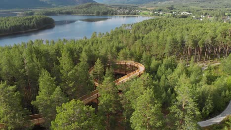 Luftaufnahme-Des-Hamaren-Pfads-Im-Kiefernwald-Mit-Blick-Auf-Den-See-Fyresvatn-In-Fyresdal,-Norwegen