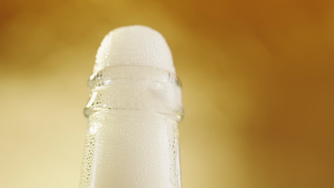 Champagne Bottle with Bubbles