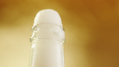 champagne bottle with bubbles