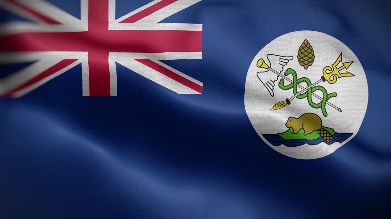 밴쿠버 섬 발 루프 배경 4k