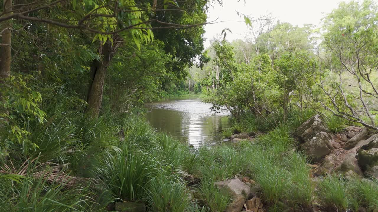 조용한 숲의 하천
