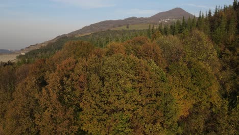 Vista-Al-Bosque-En-Otoño