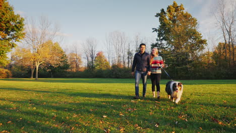 young carefree couple walking with a dog in the park 2