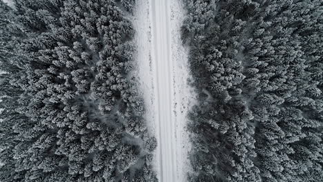 ascending aerial view of a country road through a forest white with snow