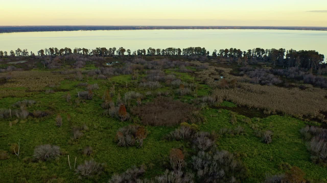Ampia vista di palude che conduce alla lontana riva del Lago Hancock sotto la soffice luce del mattino. Ideale per documentari naturalistici o studi ambientali.