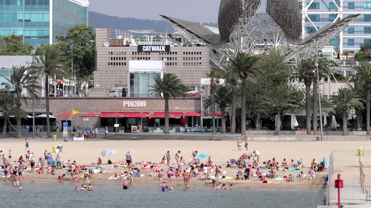 포트 올림픽 비치 vid 4k 15