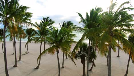 las palmeras se mecen en el viento, retroiluminadas por la puesta del sol, el amanecer sobre la playa de arena tropical en el mar caribe, la costa exótica en la república dominicana, punta cana, vista aérea