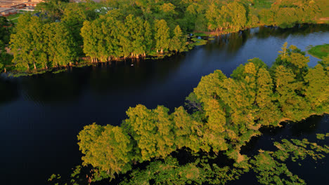 Fly Over Tampa River With Floating Yellow Water Lily In Florida. Aerial Forward Shot