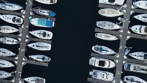 una toma rotativa aérea que muestra las filas de barcos atracados en la marina de shilshole, seattle