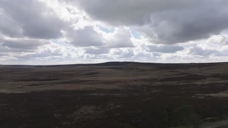 Drone-footage-ascending-over-vast,-winter-fields-showing-dead-trees-and-a-dramatic-cloudy-sky