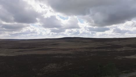 drone footage ascending over vast, winter fields showing dead trees and a dramatic cloudy sky