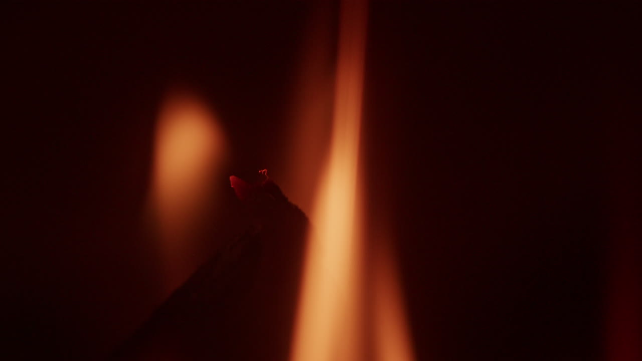 primer plano de un trozo de madera en llamas