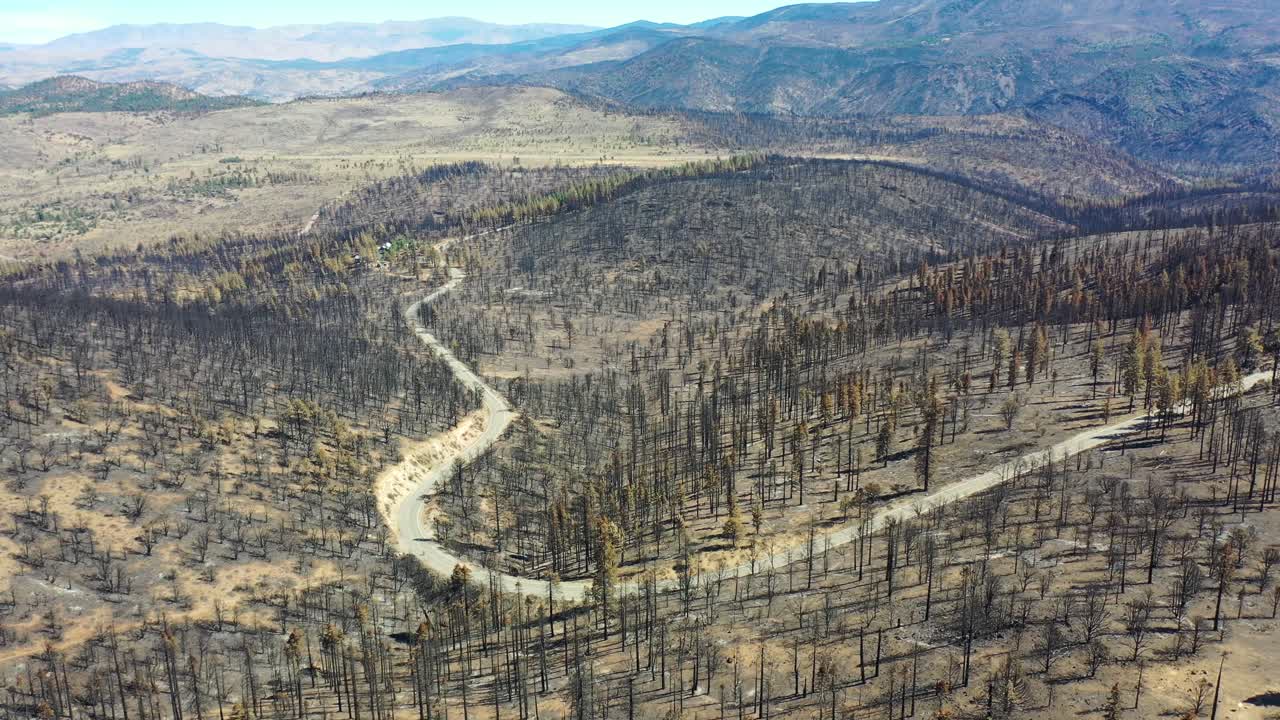 antena sobre árboles forestales destruidos quemados y destrucción del desierto del fuego caldor cerca del lago tahoe, california