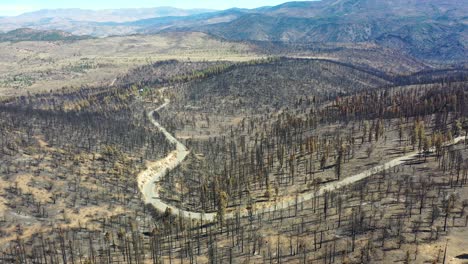 Luftaufnahme-über-Verbrannten,-Zerstörten-Waldbäumen-Und-Zerstörung-Der-Wildnis-Des-Caldor-Feuers-In-Der-Nähe-Von-Lake-Tahoe,-Kalifornien