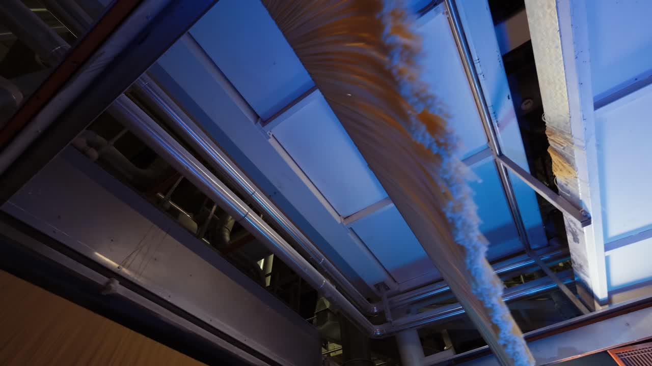 fábrica de pasta y etapas de producción de pasta