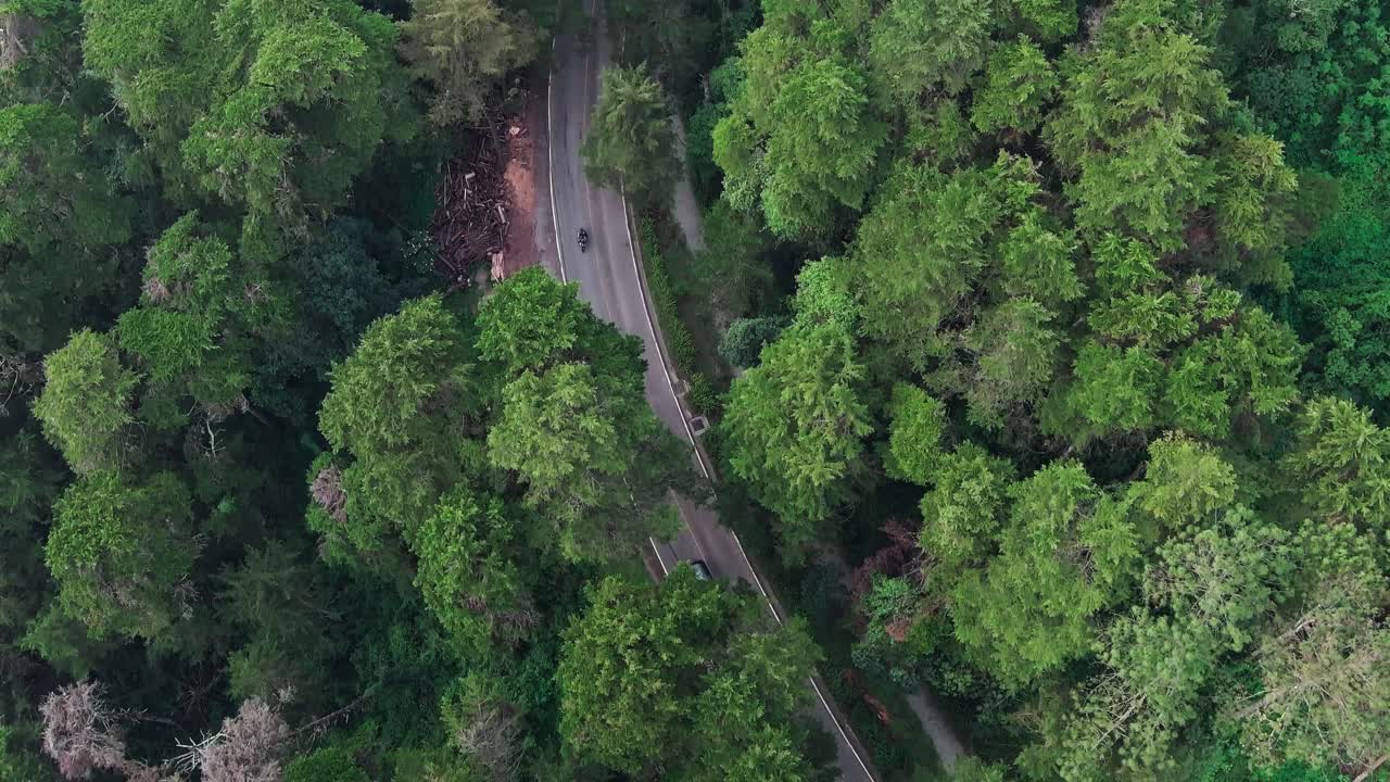 vista aérea de una carretera forestal sinuosa con un coche y una motocicleta navegando a través del denso follaje verde