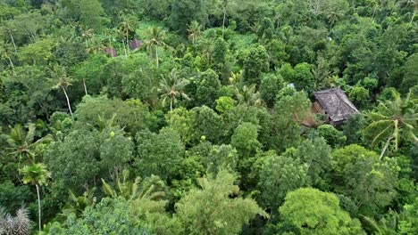 Vista-Aérea-Sobre-Cabañas-Tribales-Aisladas-Y-Apartadas-En-Medio-De-Un-Denso-Bosque-Verde