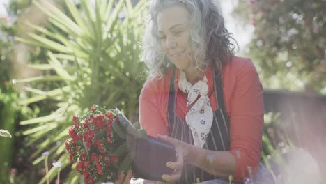 una mujer caucásica mayor feliz sosteniendo y replantando flores en el jardín, en cámara lenta.