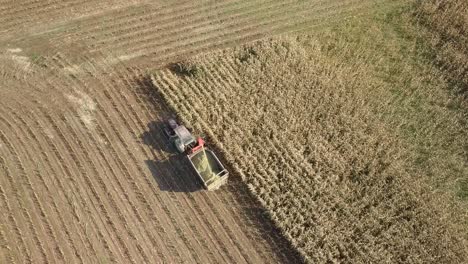 Vista-Aérea-De-Arriba-Hacia-Abajo-En-El-Campo-De-Maíz-Que-Se-Cosecha-Para-Biomasa